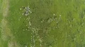 The flock of sheep graze on a picturesque mountain field 4k or 4k+ Resolution