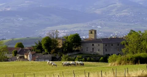 Flock of sheep grazing about medieval village or Riverie, France Video stock 253094646
