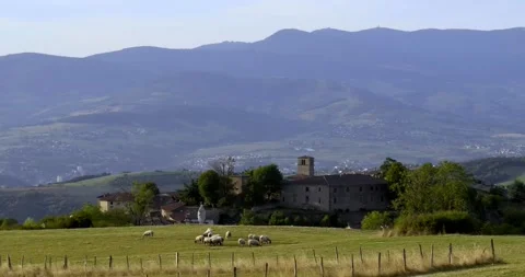 Flock of sheep grazing about medieval village or Riverie Stock-Footage 253474548