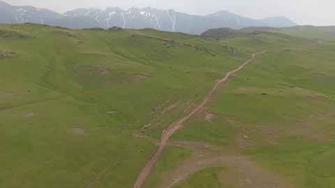 Flock of sheep moving on dirt road in green mountain valley Stock-Footage 312444570