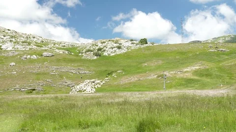 Flock of sheep with a shepherd in mountains Stock Footage 77035145