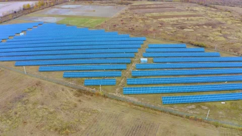 Flock of sheep solar panels Stock Footage 170913473