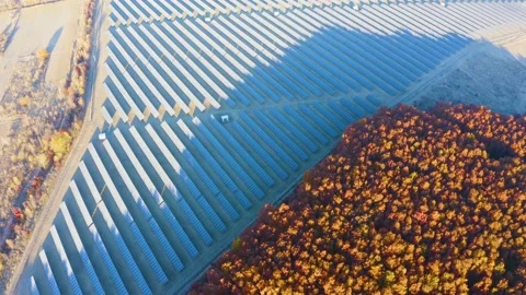 Flock of sheep solar panels Stock Footage 170913602