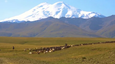 Flock of sheeps with shepherds in the mountains. Russia, caucasus. mount Elbrus Stock Footage 80188874