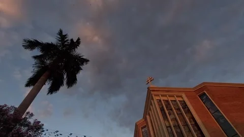 A flock of small birds fly around St. John's Cathedral at sunset. Video stock 261708277