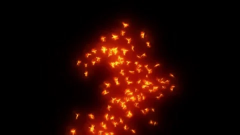 A flock of small red firebirds fly against a black background. Stock Footage 246022657