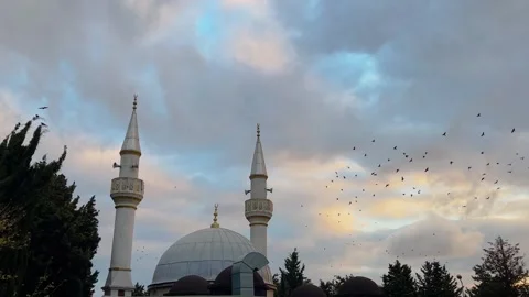 Flock of starlings flying over mosque in Istanbul at sunset Stock Footage 346542612