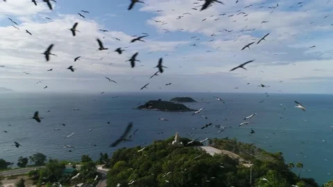 A flock of storks over the seashore with a stele and an island in the bay Stockbeeldmateriaal 130642756