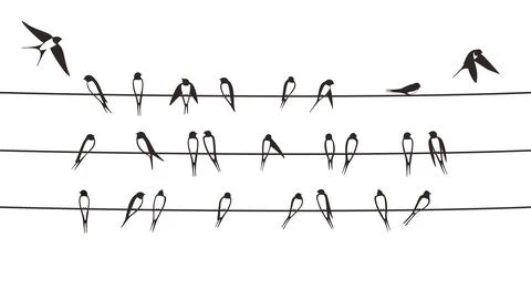 Flock swallows on the electric wire, vector illustration Stock Illustration