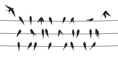 Flock swallows on the electric wire, vector illustration Stock Illustration