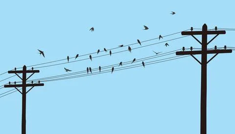 Flock swallows on the electric wire, vector illustration Stock Illustration