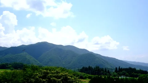 A flock of swallows flying in the sky, mountains, forests and sky Stock Footage 328336110