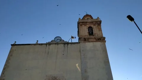 Flock of swallows 库存影片 134367848