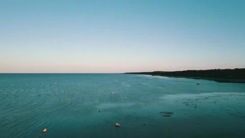 A flock of swans flies in front of the drone's camera Stock Footage 146702341