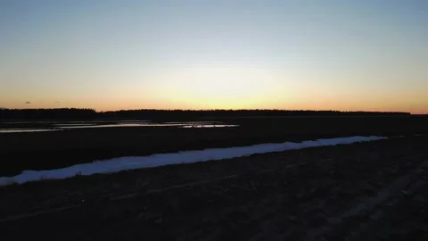 A flock of swans on a pond at sunset Stock Footage 205435398