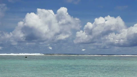 The Flock of Terns and the Sea Video stock 324920926