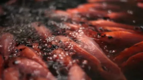 A flock of tilapia fish is under flowing water. Stock Footage 272846542