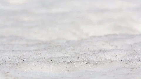 A flock of tits take away a bunch of seeds, lying in the snow Видео 73300089