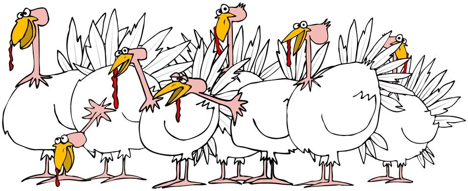 Flock of turkeys Stock Illustration
