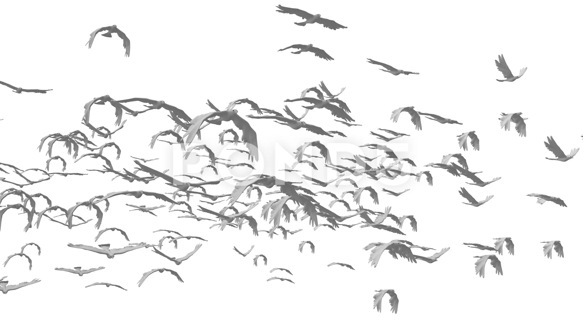 flock of birds flying clipart black