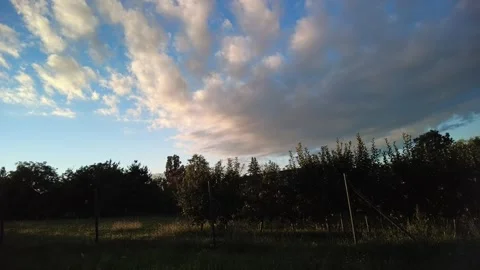 A flock of white clouds floats above the trees in the field towards the viewer s Stock Footage 273740237