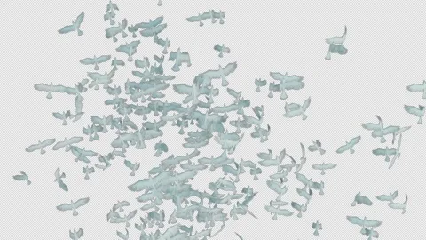 Flock of White Doves Flying Across Screen with Alpha Channel. Видео 339112004
