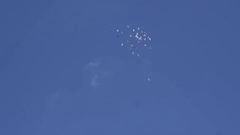 Flock of white pigeons fly in the blue sky. Slow motion shot 库存影片 80130142