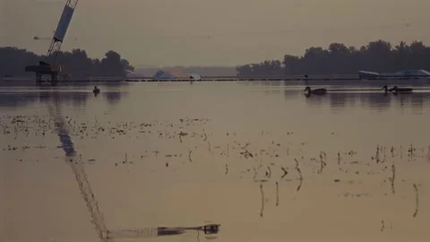 Flock of Wild Ducks Swimming In the River Bay Early In the Morning Stock Footage 159401523