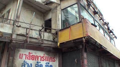 A flock of wild macaques runs around the old house. City center. Thailand Stock Footage 112999698