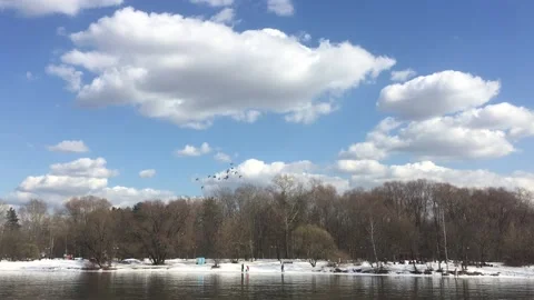 Flock_of_ducks_under_the_river Stock Footage 151404338