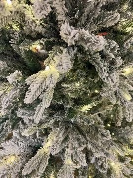 Flocked Christmas Tree with Lights Stock Photos