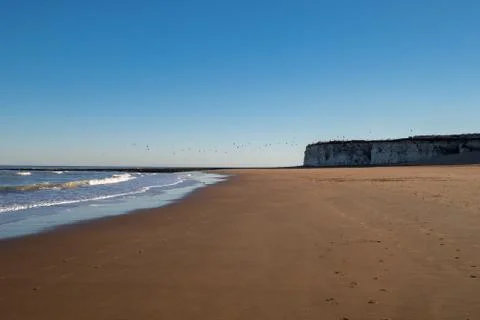 Flocking birds flying over the cliffs on the beach at sunset Foto stock