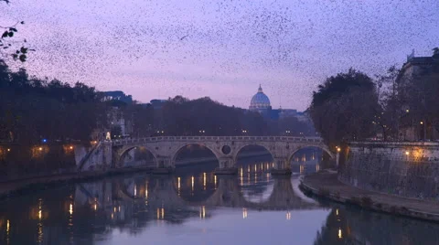 Flocks of birds fly on the chapel  of St. Peter's in Rome Vídeo Stock 64855042