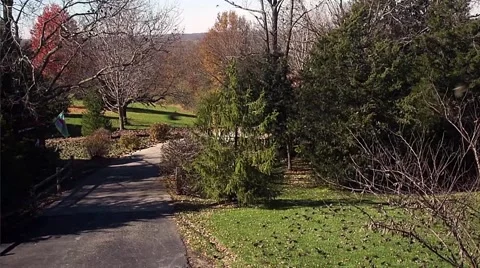 Flocks of birds Video stock 49305003