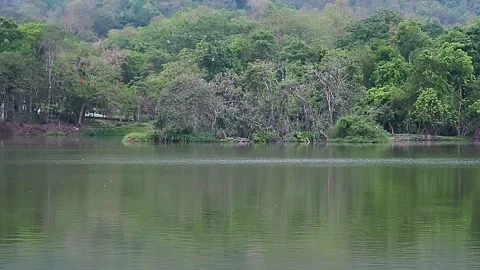 Flocks of birds hover over the nest where they live in the weir reservoir. Stock Footage 153762153
