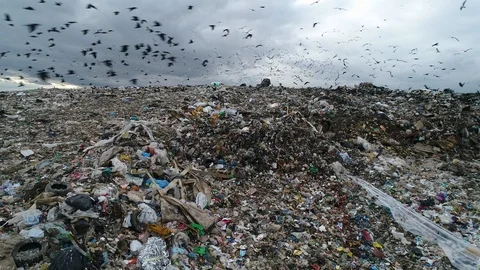 Flocks of crows and gulls circling over the garbage dump. Huge garbage mountain. 스톡 동영상 119476775