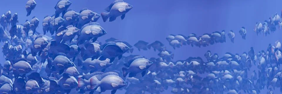 Flocks of fish swim in groups, the underwater circle is shining down. Lots .. Stock Illustration