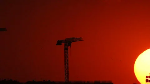 Flocks of migration birds over construction in sunset time Video stock 142689982