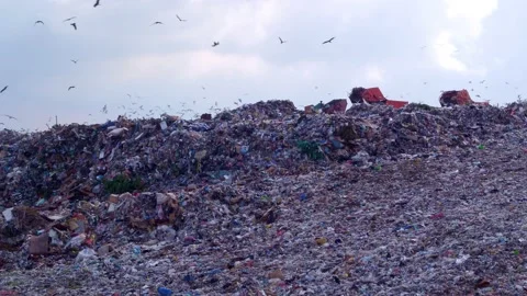 Flocks of seagulls and crows circle over mountains of debris. Urban waste in a 스톡 동영상 156539971