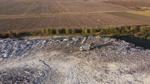 Flocks of seagulls circle over the garbage dump in the field, over the garbage Stock Footage 162618310