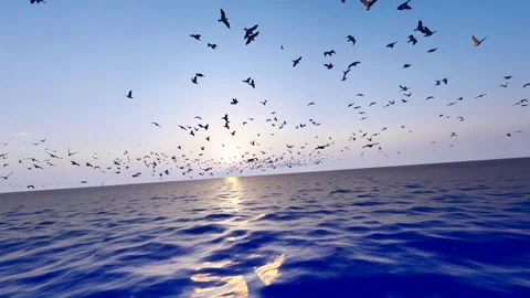 Flocks of seagulls flying freely over the sea Stock Footage 310095600