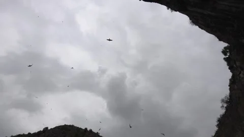 Flocks of small birds, protecting their nests, fly together near mountain Stock Footage 244987416