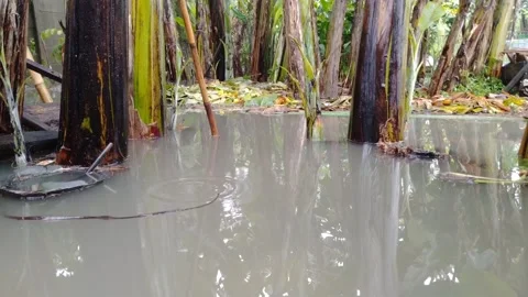 Flood 2 Stock Footage 233957376