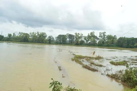 Flood on 2020 Stock Photos