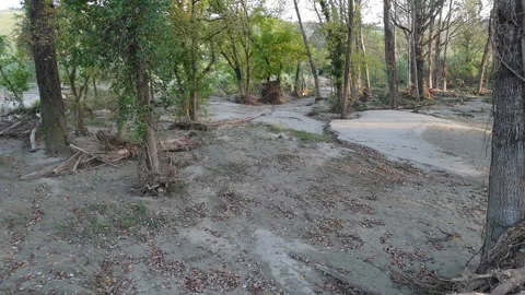 Flood Aftermath, Mud and Debris Cover the Terra del Sole River Park Stock Footage 286838856