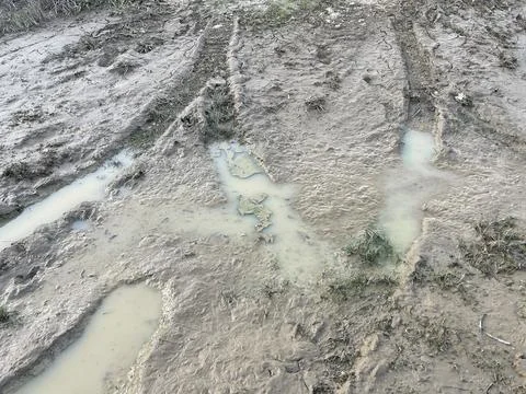Flood Aftermath with Mud and Standing Water Foto stock