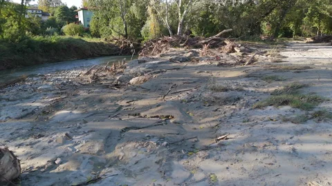 Flood Aftermath in the Riverside Park, Trees and Debris in the Mud Stock Footage 286841586