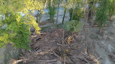 Flood Aftermath at Terra del Sole Riverside Park, Romagna 2024 Stock Footage 286835096