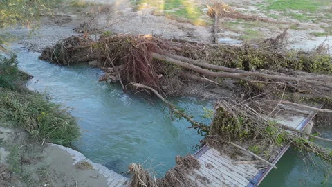 Flood Aftermath at Terra del Sole Riverside Park, Fallen Trees on the Bridge Stock Footage 286838724