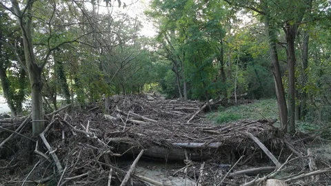Flood Aftermath at Terra del Sole Riverside Park, Mud, Logs and Debris Stock Footage 286841687